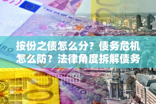 武汉按份之债怎么分？债务危机怎么防？法律角度拆解债务分配与风险自保指南