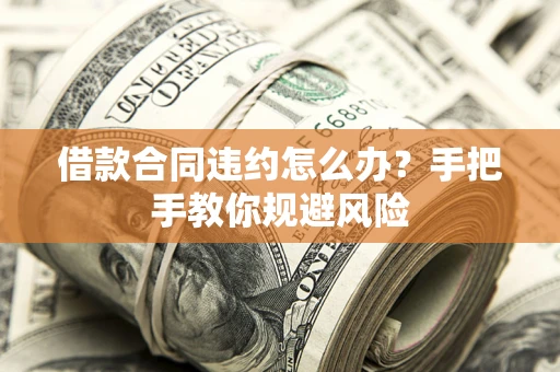 武汉借款合同违约怎么办？手把手教你规避风险