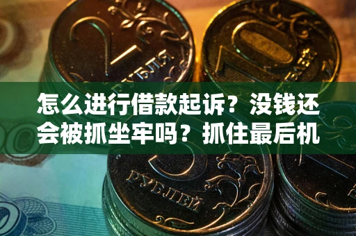 武汉怎么进行借款起诉？没钱还会被抓坐牢吗？抓住最后机会！