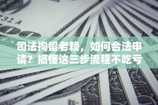 武汉司法拘留老赖，如何合法申请？搞懂这三步流程不吃亏！