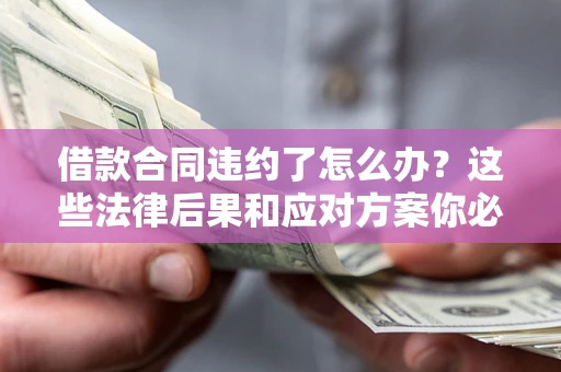 武汉借款合同违约了怎么办？这些法律后果和应对方案你必须知道