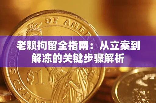 武汉老赖拘留全指南：从立案到解冻的关键步骤解析
