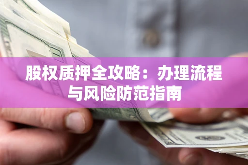 武汉股权质押全攻略：办理流程与风险防范指南