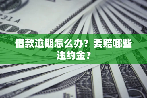 武汉借款逾期怎么办？要赔哪些违约金？