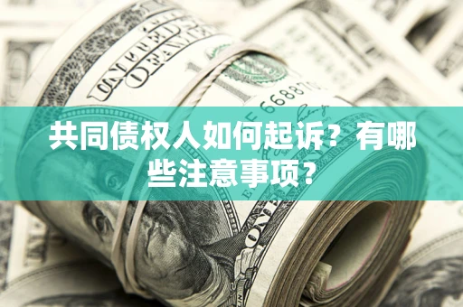 武汉共同债权人如何起诉？有哪些注意事项？